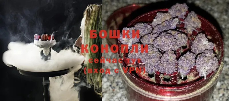 Канабис SATIVA & INDICA  Гай 